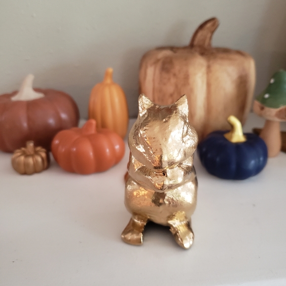 Gold harvest squirrel/ Chipmunk - Picture 3 of 3